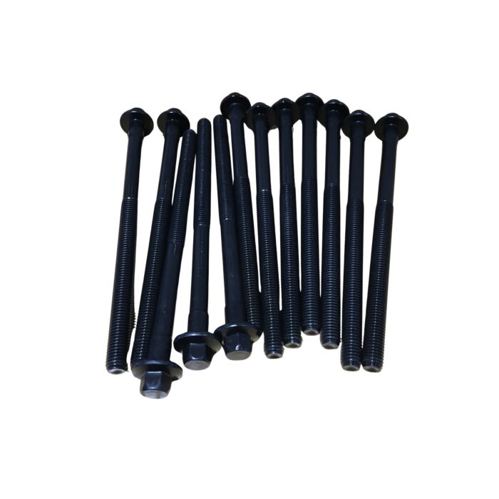Cilinderkopbout Set 12 M12x197 D5204Tx D5244Tx 12 Delig D5 Volvo C30 - S40 - V50 - C70 - S60 - V60 - XC60 - S80 - V70 - XC70 - V40 2011-