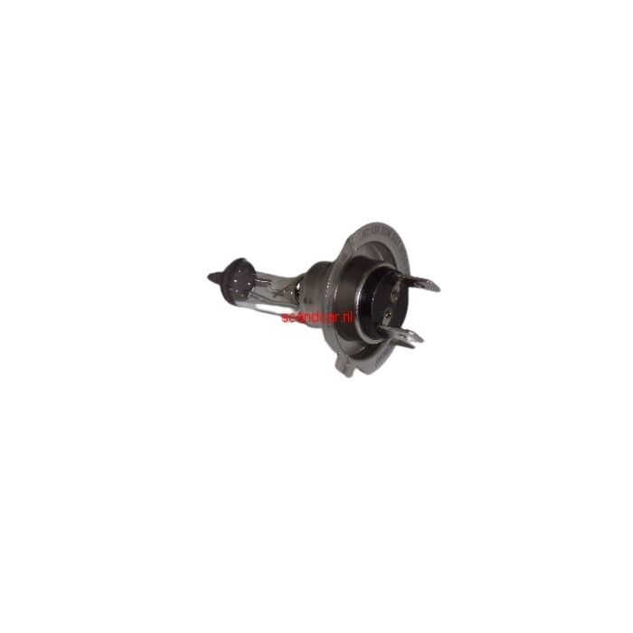 Lamp 12 volt H7 halogeen