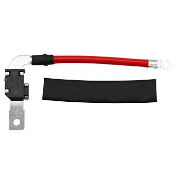 Zekering batterijkabel V40