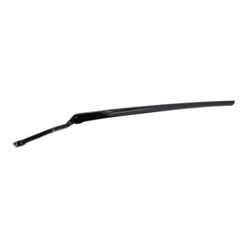 Ruitenwisser Arm links