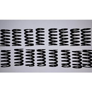 Klep veer B18+B20+B30  enkele veer performance set 8 stuks max 5000 tpm